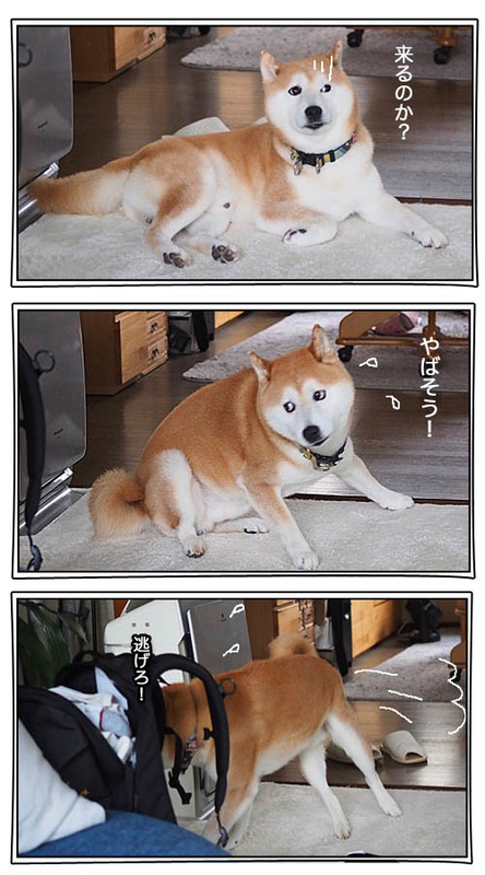 19日ブログ５