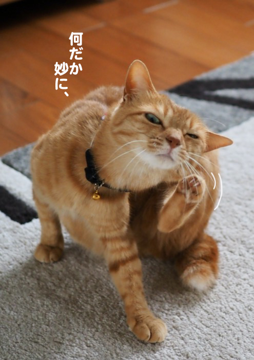 14日夕ブログ２