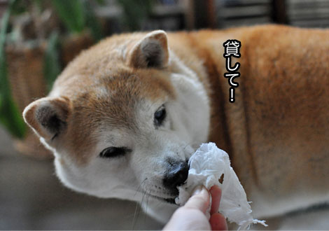 19日ブログ２.jpg