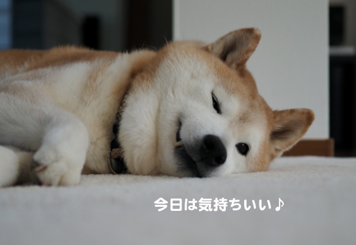 30日夕ブログ5