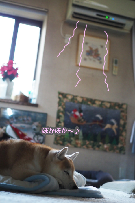 21日ブログ４