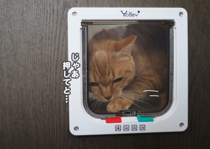 19日夕ブログ３