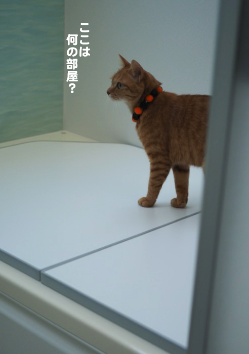 27日ブログ３