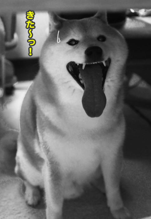 5日夜ブログ３