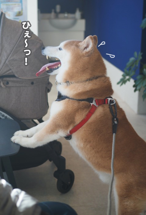 30日夕ブログ3