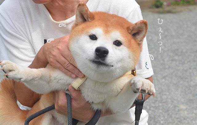 24日ブログ4