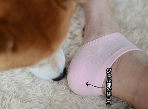 23日ブログ6.jpg