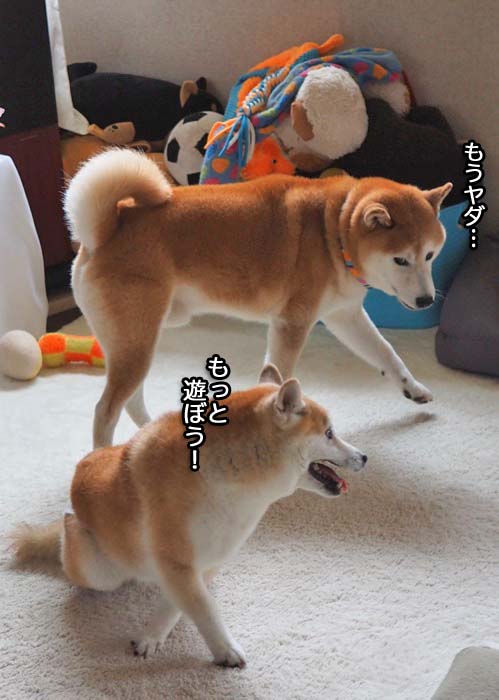 28日夜ブログ２１