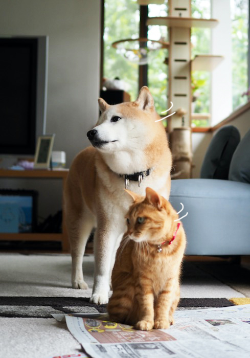 3日ブログ５