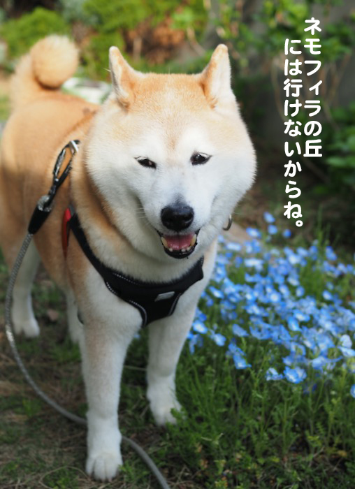 25日夕ブログ3