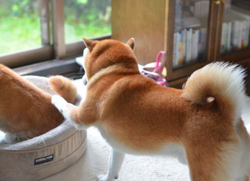 8日ブログ4.jpg