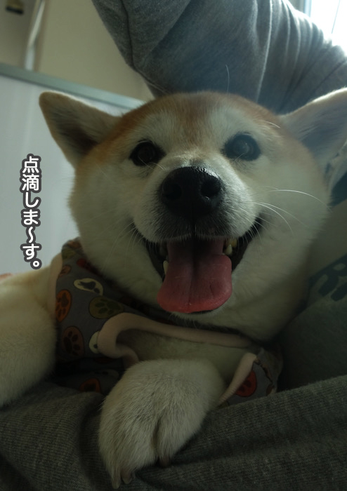 20日夜ブログ５