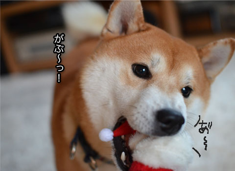 22日ブログ8.jpg
