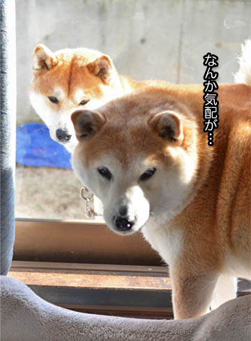 14日ブログ7.jpg