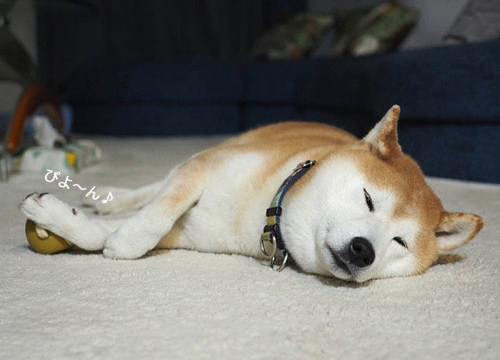 11日夜ブログ２
