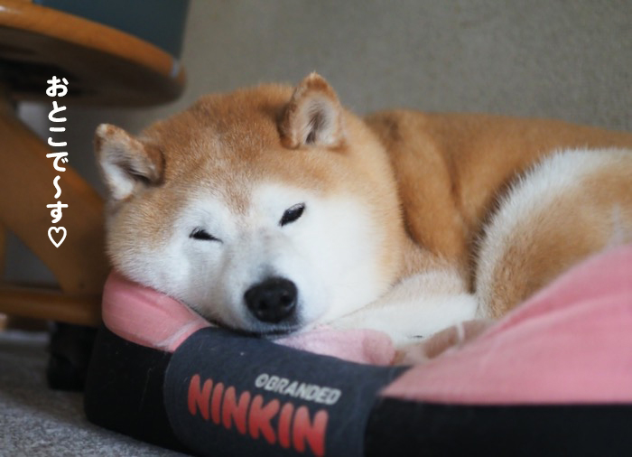 22日夕ブログ５
