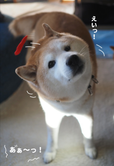 13日ブログ２