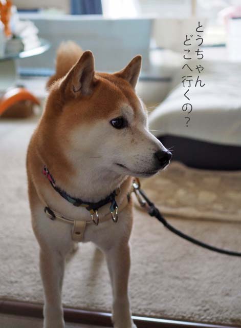 24日ブログ2