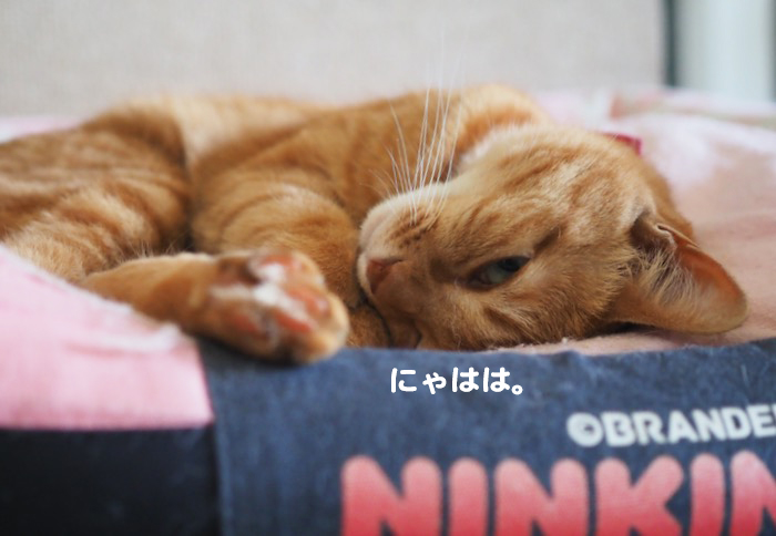 16日ブログ３