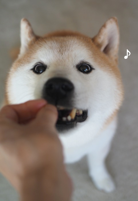 17日ブログ５