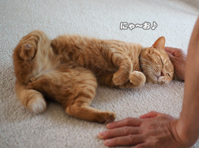 26日夕ブログ６
