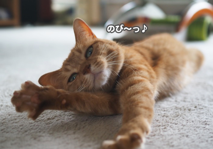 12日夕ブログ２