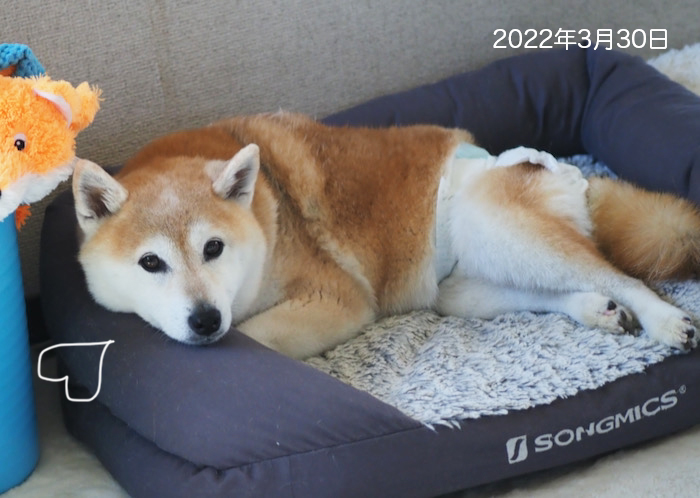 25日夕ブログ９