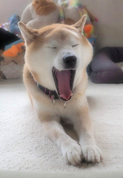 28日ブログ４