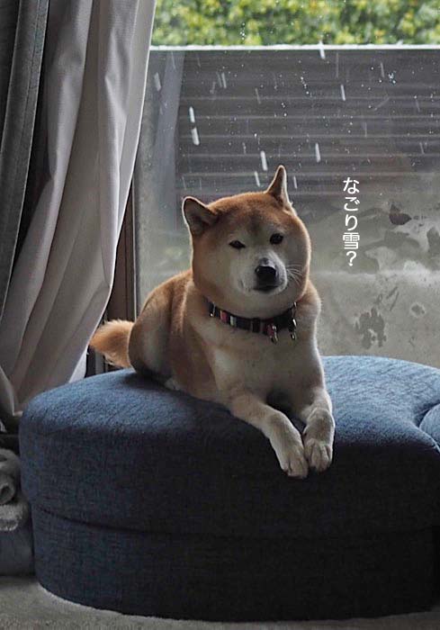 29日夜ブログ２