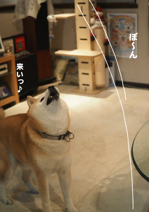 25日夕ブログ９