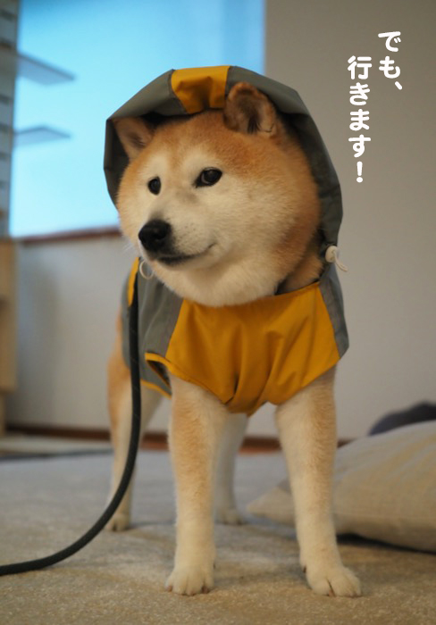 25日ブログ３