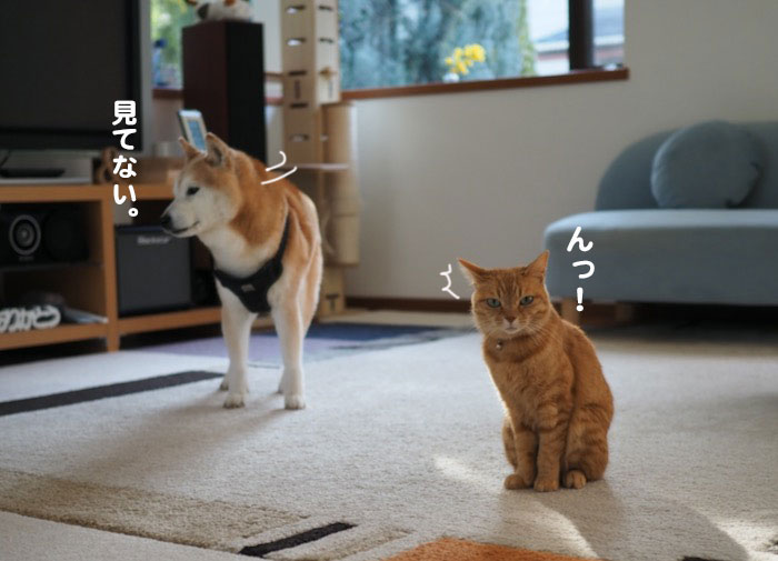 9日夕ブログ５