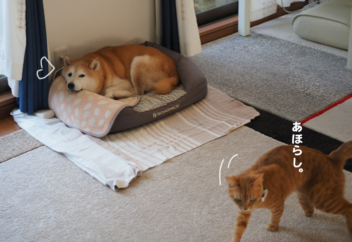 21日夕ブログ１０