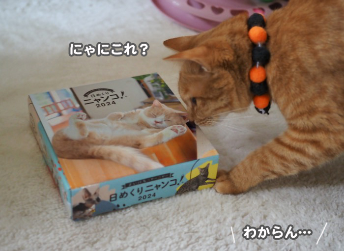 10日ブログ２