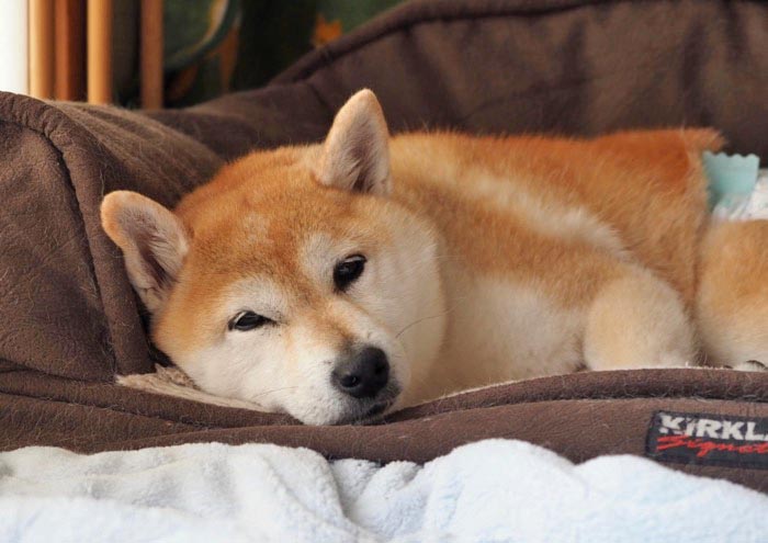 7日夜ブログ３