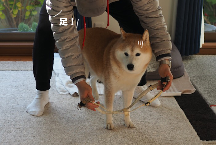 10日夕ブログ３