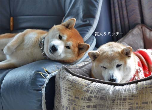 30日ブログ3.jpg