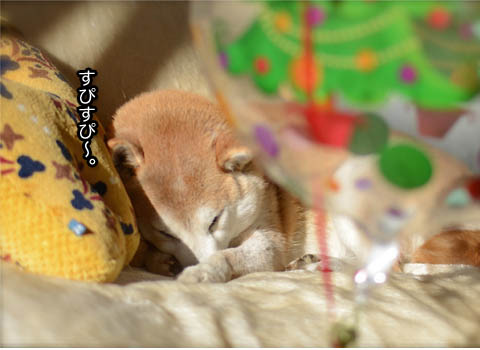 26日ブログ7.jpg