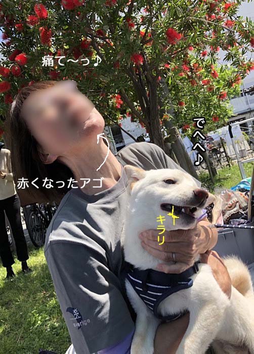 21日ブログ１８