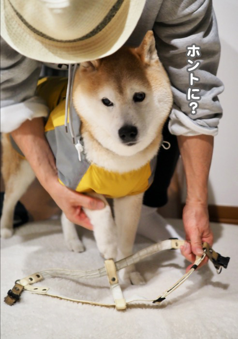 30日ブログ５