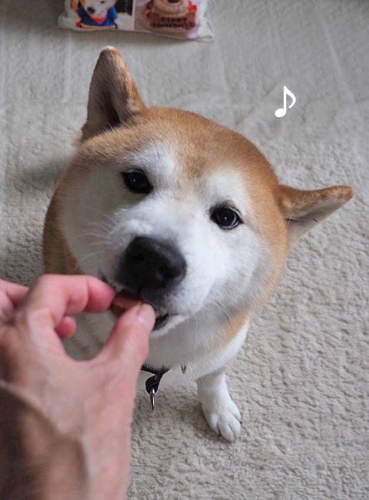 11日ブログ６
