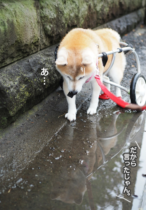 11日ブログ３
