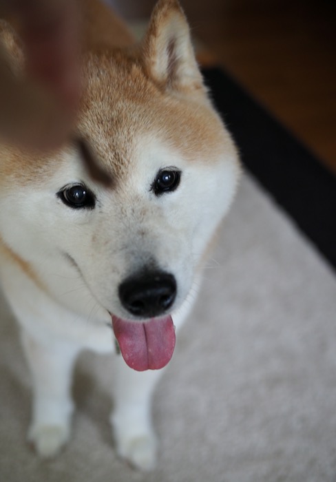 4日ブログ2