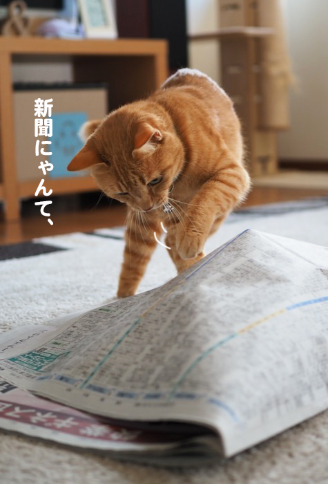 15日ブログ２