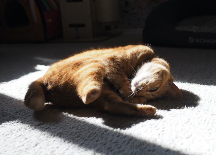 19日ブログ３