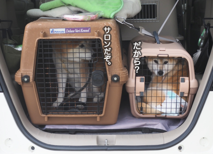17日夜ブログ１１