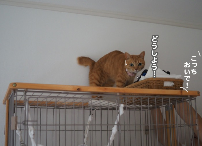 3日夕ブログ５