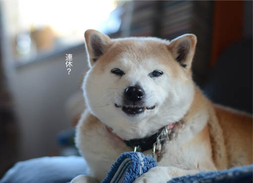 28日ブログ6.jpg