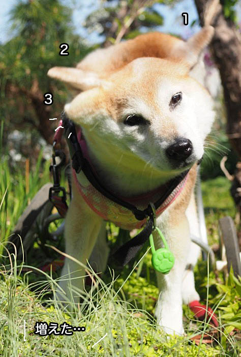 27日ブログ５