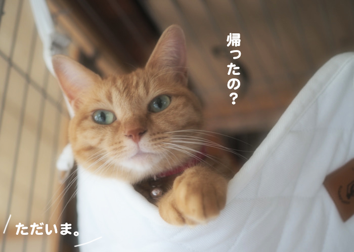 30日夕ブログ４